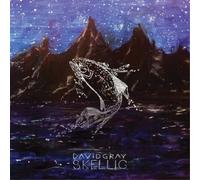 David Gray – Skellig – CD – Importación USA