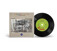 David Gray + Stick in the Wheel - The Endless Coloured Ways: the Songs of Nick Drake Vol.3 [Vinilo]
