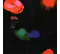 DAVID GRUBBS - AN OPTIMIST NOTES THE DUSK