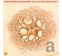 David Grubbs & Susan Howe - Souls of the Labadie Tract