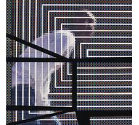 David Grubbs - The Plain Where The Palace Stood [Vinilo]