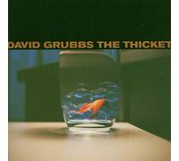 David Grubbs - The Thicket