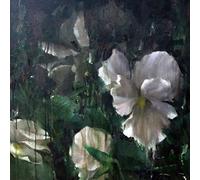 David-Guillou,Angele - Kourouma [Vinilo]