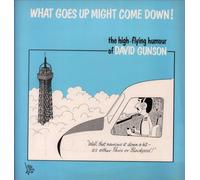 DAVID GUNSON - WHAT GOES UP MIGHT COME DOWN LP (VINYL) UK BIG BEN 1982