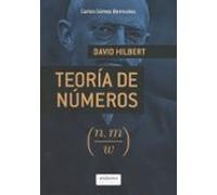David Hilbert. I. Teoría de números