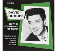 David Hughes - By the Fountains of Rome