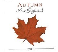 David Huntsinger, Piano, Synthesizers - Autumn In New England