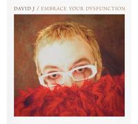 David J – Embrace Your Dysfunction – Vinilo – Importación USA