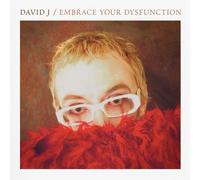David J – Embrace Your Dysfunction – Vinilo – Importación USA