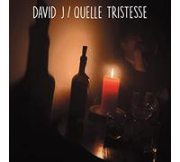 David J - Quelle Tristesse [7" VINYL] [Vinilo]