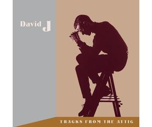 David J - Tracks From The Attic
