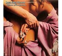 DAVID JAMES HOLSTER - chinese honeymoon LP