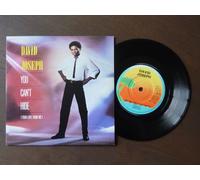 David Joseph - DAVID JOSEPH You Can't Hide (Your Love From Me) 7" 45
