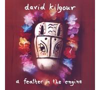 David Kilgour - A Feather in the Engine [Vinilo]