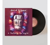 David Kilgour - A Feather in the Engine [Vinilo]