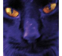 David Kilgour And The Heavy Ei - Bobbies A Girl [Vinilo]