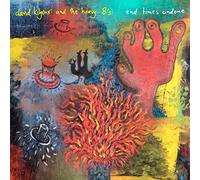 David Kilgour And The Heavy Eights - End Times Undone