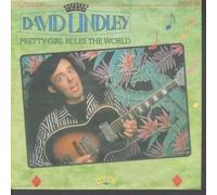 David Lindley - Pretty Girl Rules The World