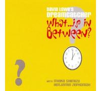 David Lowe's Dreamcatcher - What ...Is In Between?