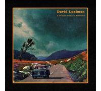 David Luximon - A Certain Frame Of Reference - Heather Colored Vinyl