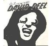 DAVID PEEL & LOWER EAST SIDE - An Evening with David Peel (Live LP)