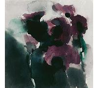 David Ross Impresión sobre Lienzo de Amapolas moradas (40 x 40 cm), Poliéster, Multicolor