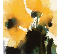 David Ross "Naranja King Lienzo Impresiones, Multicolor, 40 x 40 cm