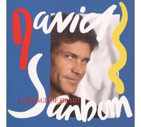 David Sanborn - Change of Heart