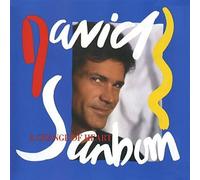 David Sanborn - Change of Heart