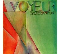 David Sanborn Voyeur 1981 German vinyl LP WB56900