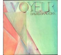 David Sanborn - Voyeur
