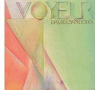 David Sanborn - Voyeur (Jpn) (24bt)