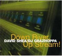 David Shea & DJ Grazhoppa - Down River, Up Stream