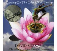 David Surkamp - Dancing On The Edge Of A...