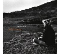 David Sylvian & Jon Hassell - Alchemy: An Index of Possibilities [Vinilo]