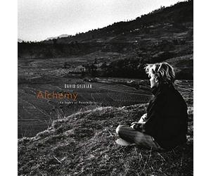David Sylvian - Alchemy - An Index of Possibilities (Deluxe) [Vinilo]