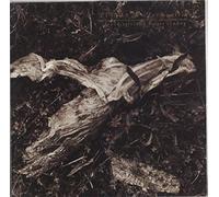 David Sylvian And Holger Czukay - Plight & Premonition