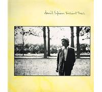 David Sylvian - Brilliant Trees