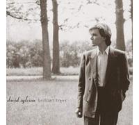 David Sylvian - BRILLIANT TREES