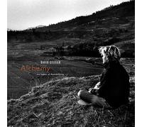 David Sylvian & Jon Hassell - Alchemy: An Index of Possibilities [Vinilo]