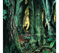 David Sylvian - Manafon [Vinilo]