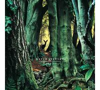 David Sylvian - Manafon [Vinilo]
