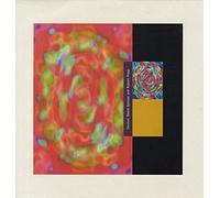 David Sylvian & Robert Fripp - The Darshan Remixes [Vinilo]