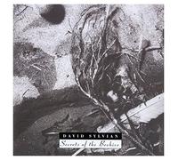 David Sylvian - SECRETS OF THE BEEHIVE