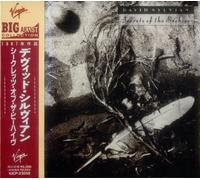 David Sylvian - Secrets Of The Beehive