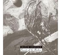 David Sylvian - Secrets of the Beehive