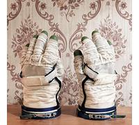 David Sylvian and Stephan Mathieu Wandermüde (CD) (Importación USA)