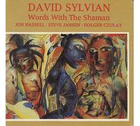 David Sylvian - Words With The Shaman