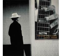 David T Walker - Dream Catcher (Jpn) (24bt)