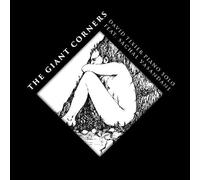 David Tixier piano - The Giant Corners